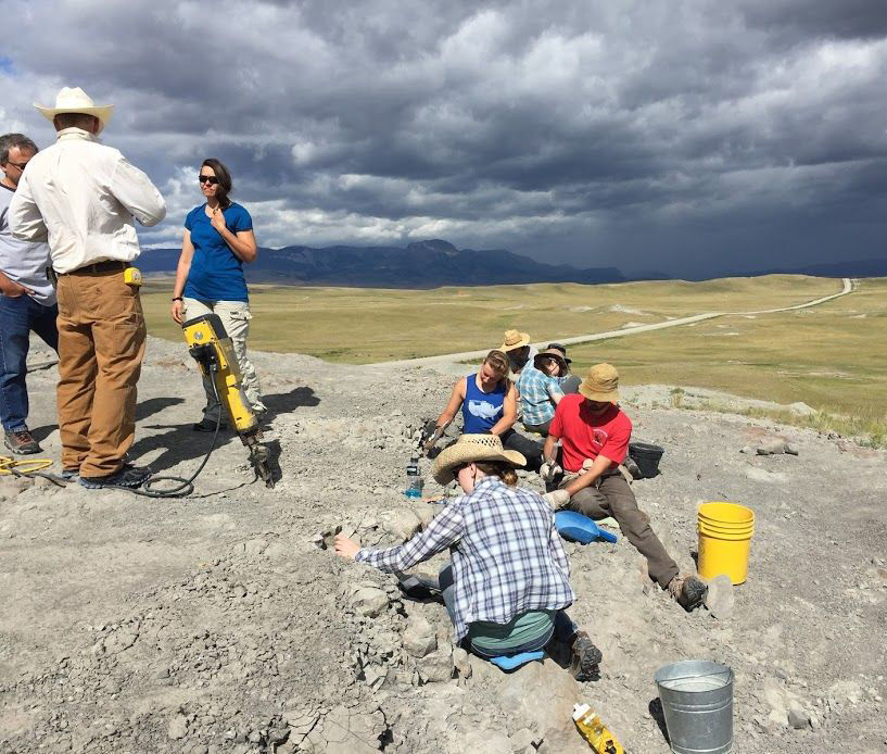 Egg excavation
